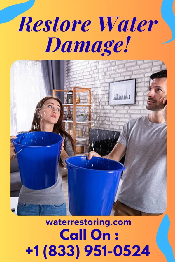 water restoration Citywide Water Damage Company Kingstowne