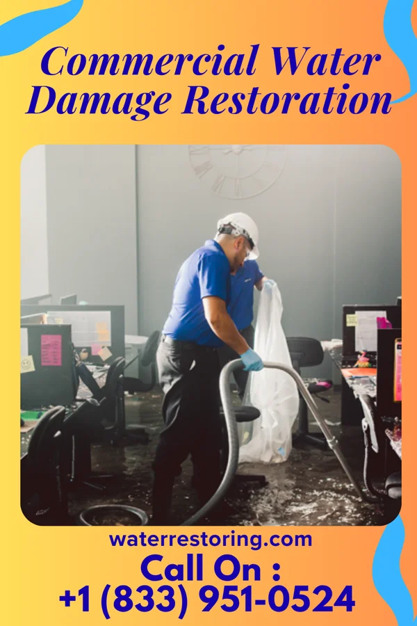 Commercial Water Damage Restoration in Kingstowne, VA