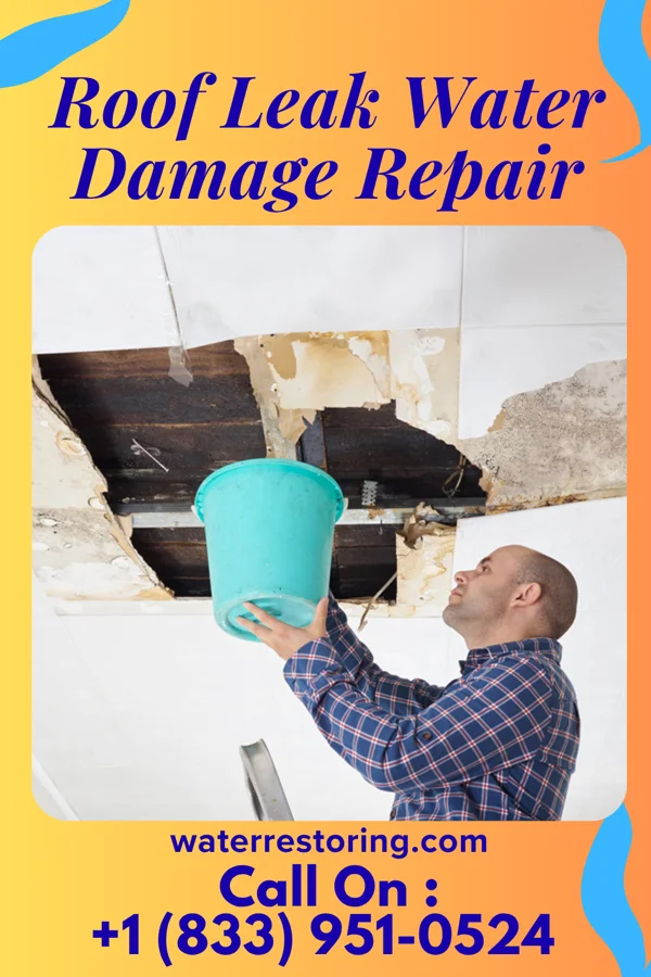 Roof Leak Water Damage Repair in Kingstowne, VA