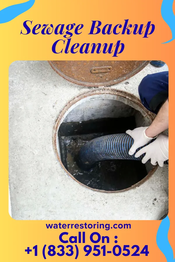 Sewage Backup Cleanup in Kingstowne, VA